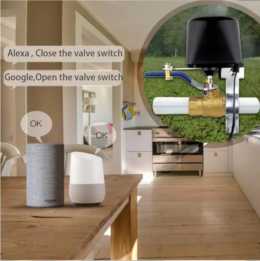 Automatic Gas Shut Off Device