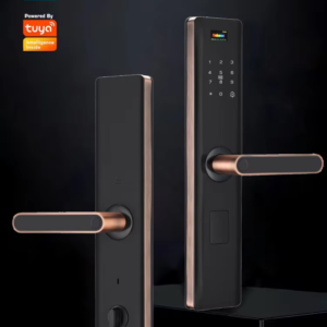 Smart Fingerprint Door Lock